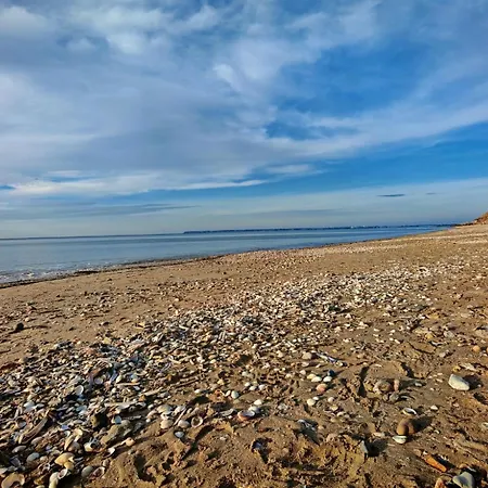 Lägenhet Renove Au Calme Avec Terrasse Trouville-sur-mer